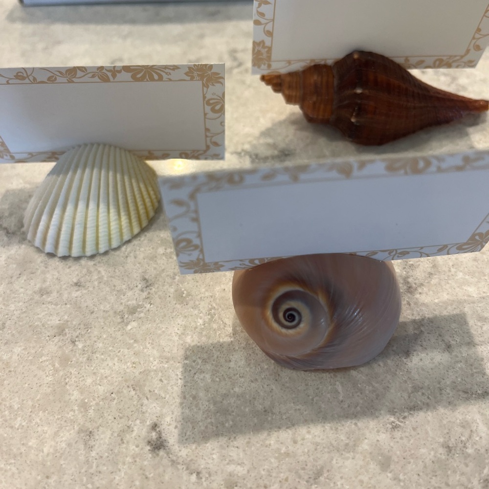 Sea Shell Placecard Holders
